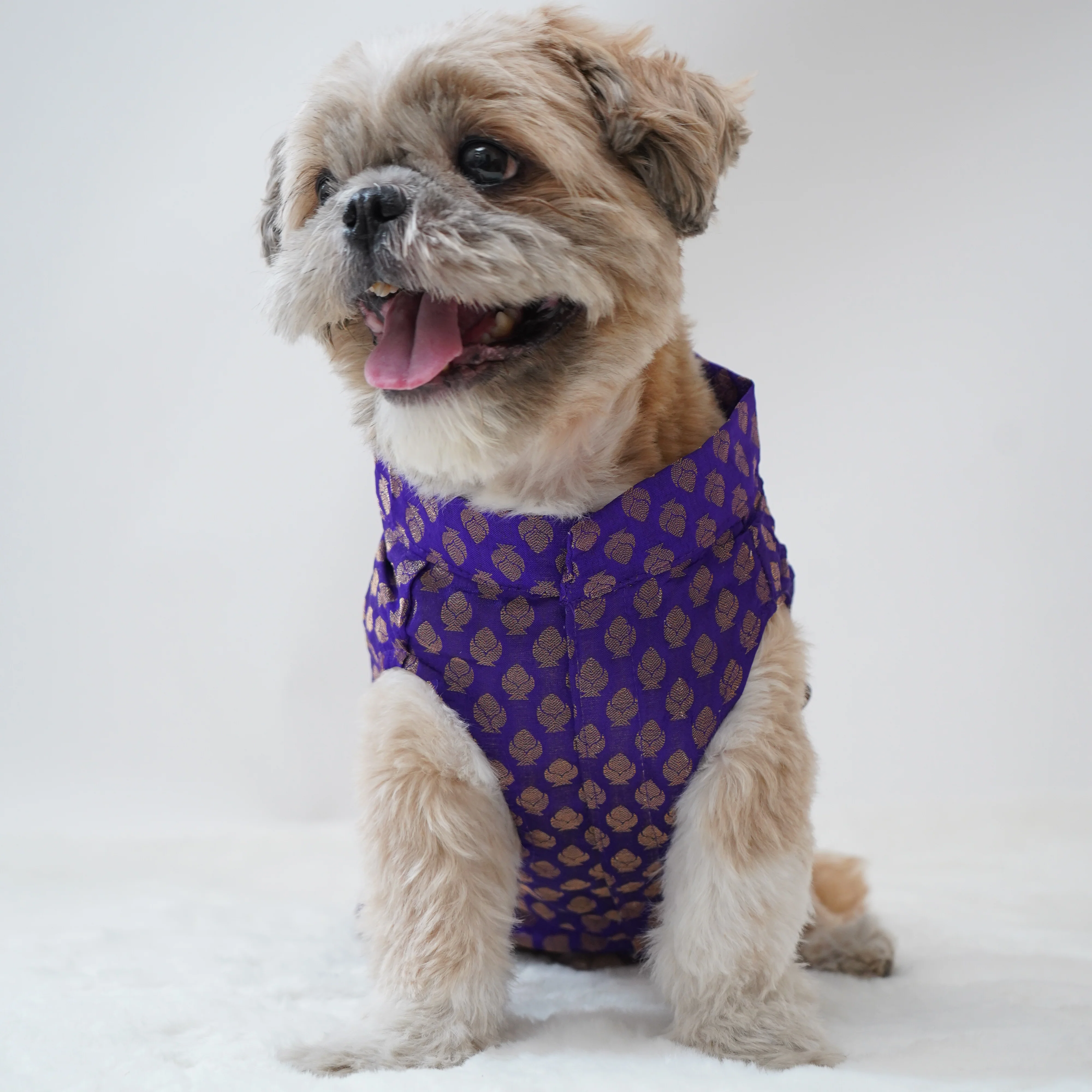 Pawgy Pets Sherwani Purple for Dogs - Image 3
