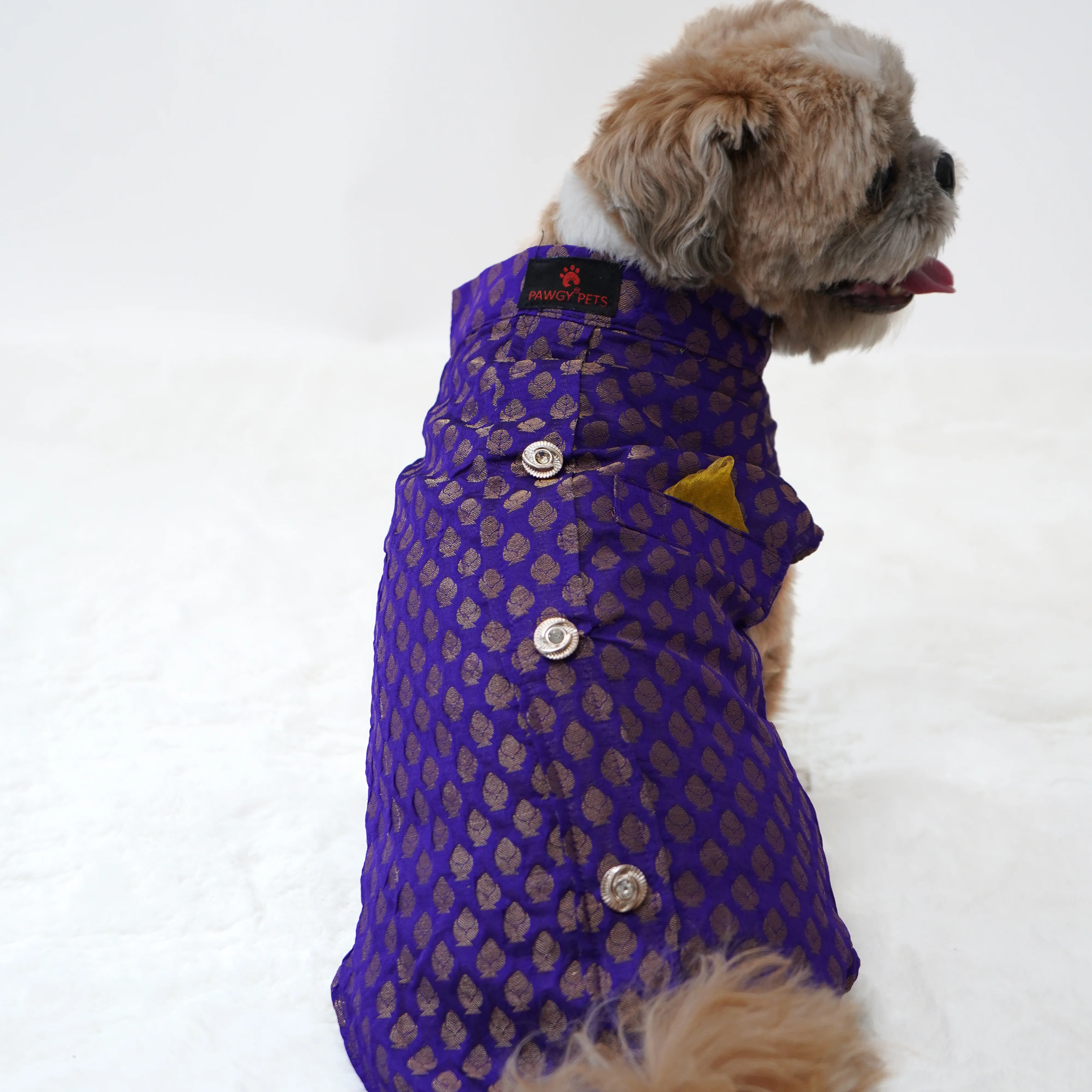Pawgy Pets Sherwani Purple for Dogs - Image 4