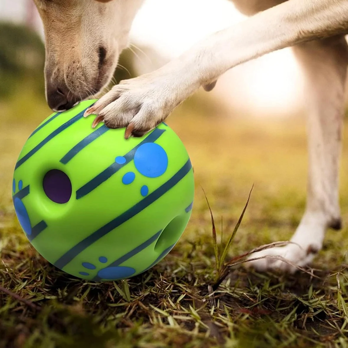 Pawgy Pets Sound Ball for Dogs - Image 3
