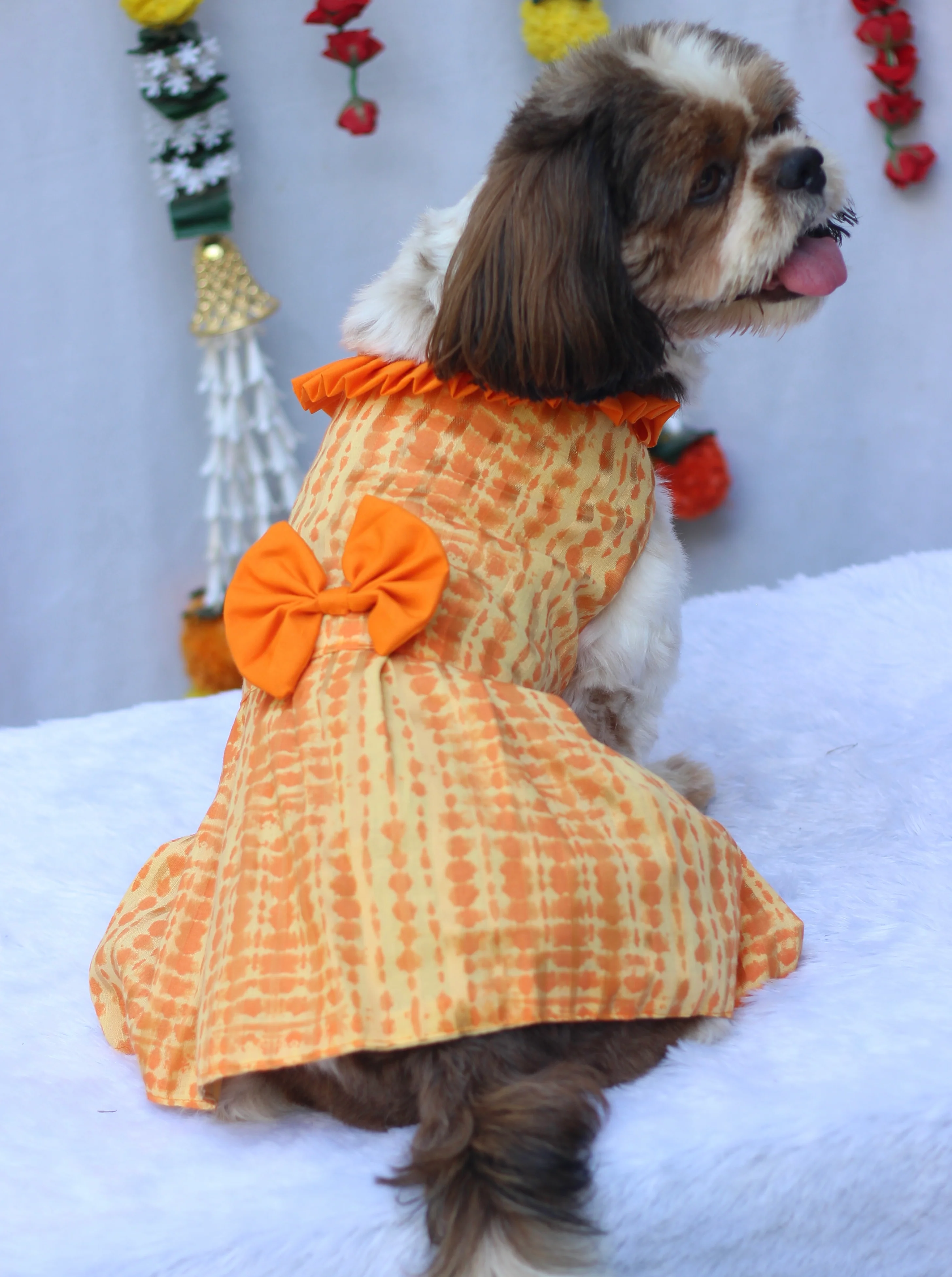 Pawgy Pets Tie and Die Orange-Yellow Dress for Dogs - Image 4