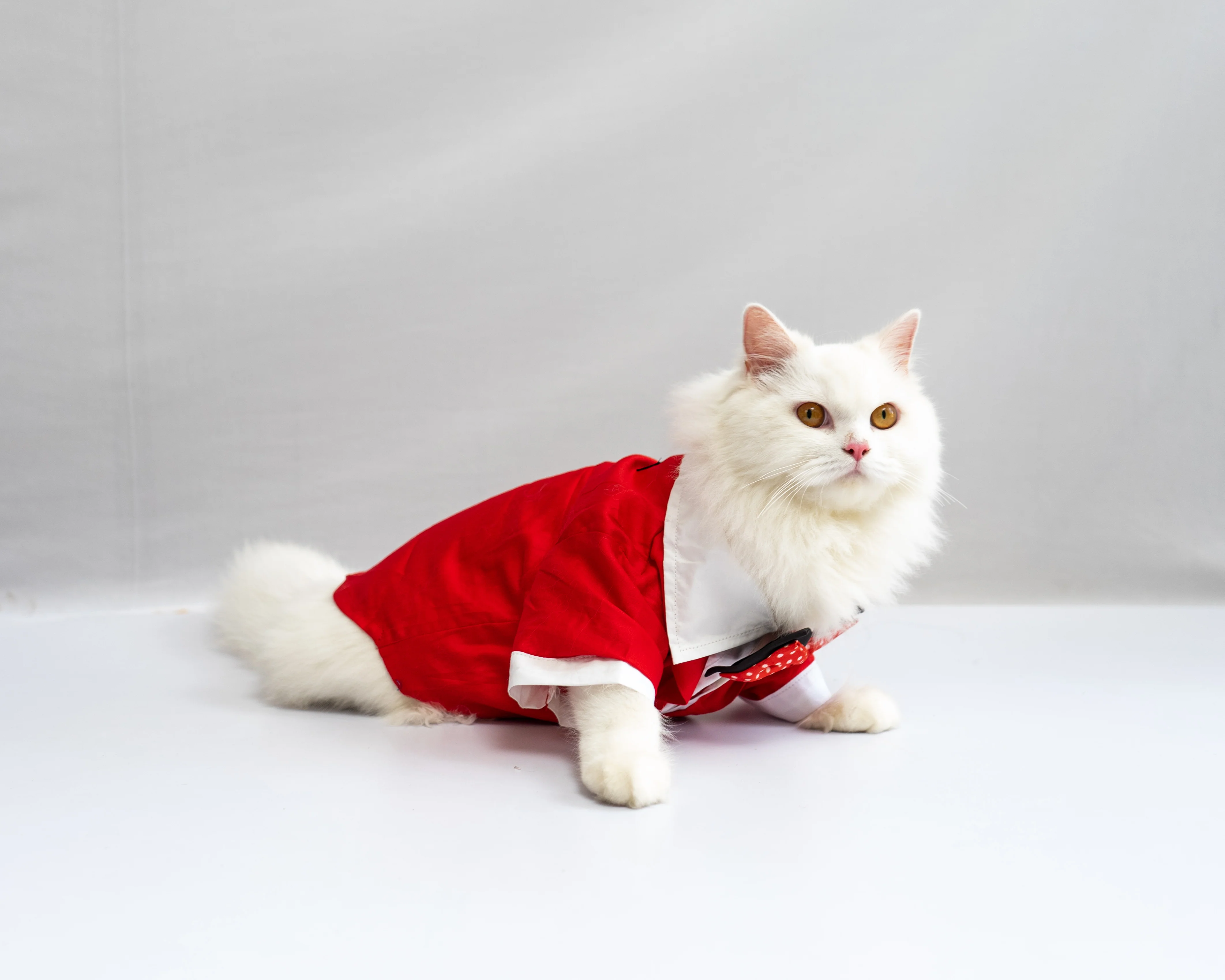 Pawgy Pets Tuxedo: Red for Dogs - Image 5