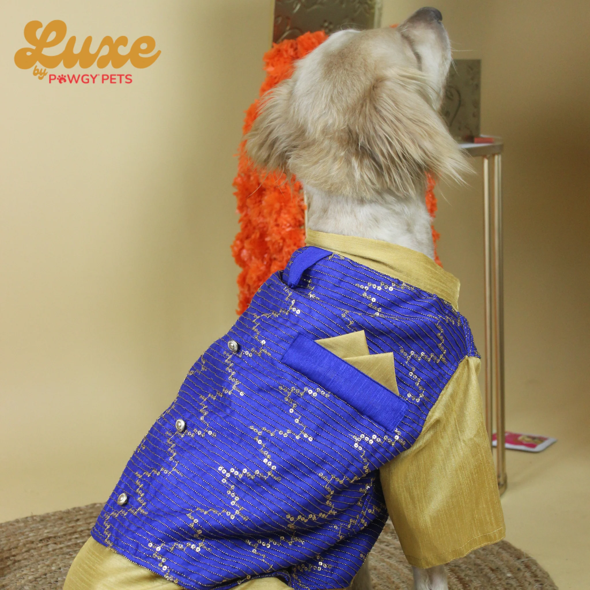 Luxe by Pawgy Pets Hand-embroidered kurta Royal Blue - Image 3