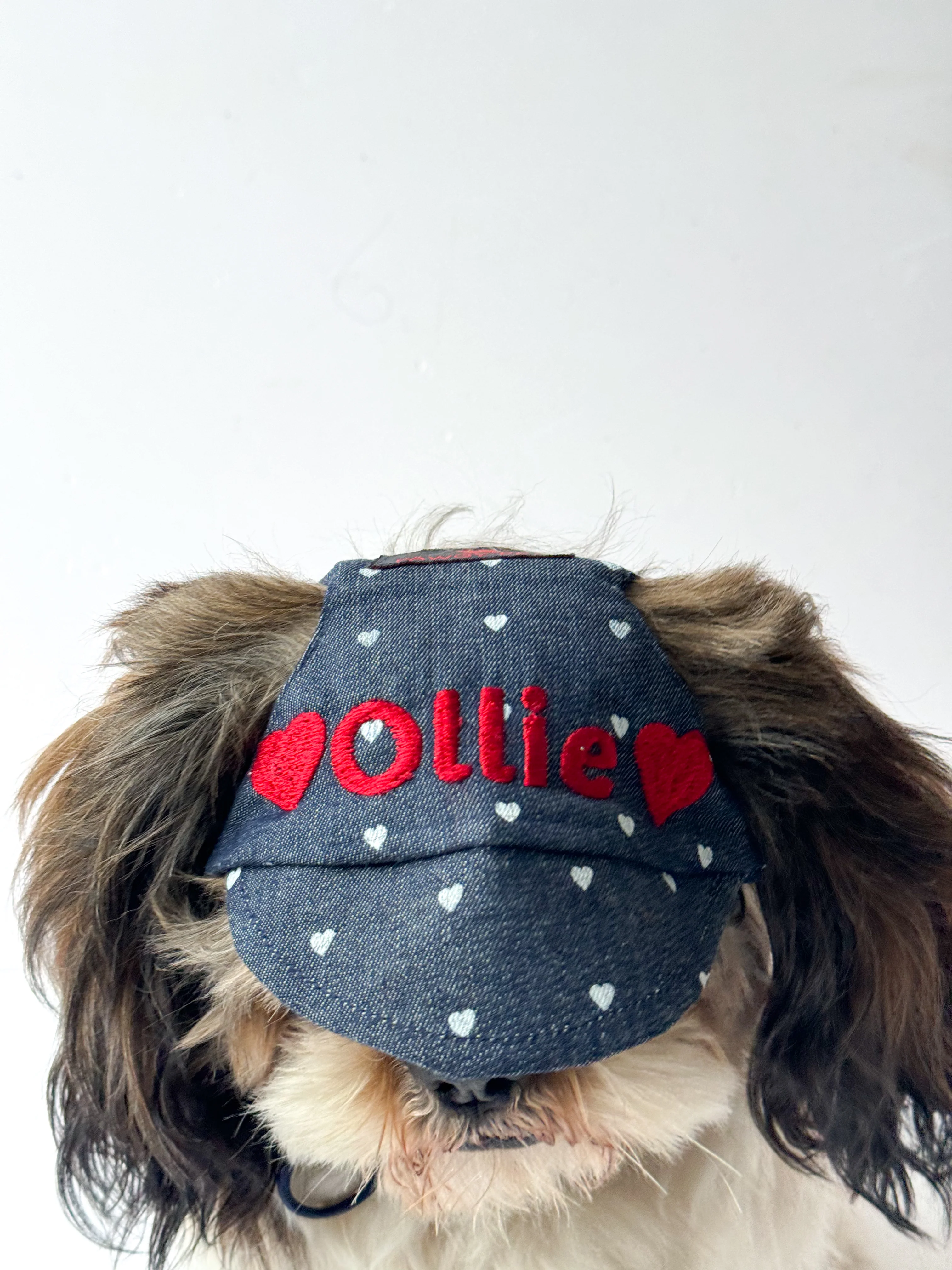 Pawgy Pets Personalised Dog Cap and Bandana:  Hearty Denim for Dogs & Cats - Image 3