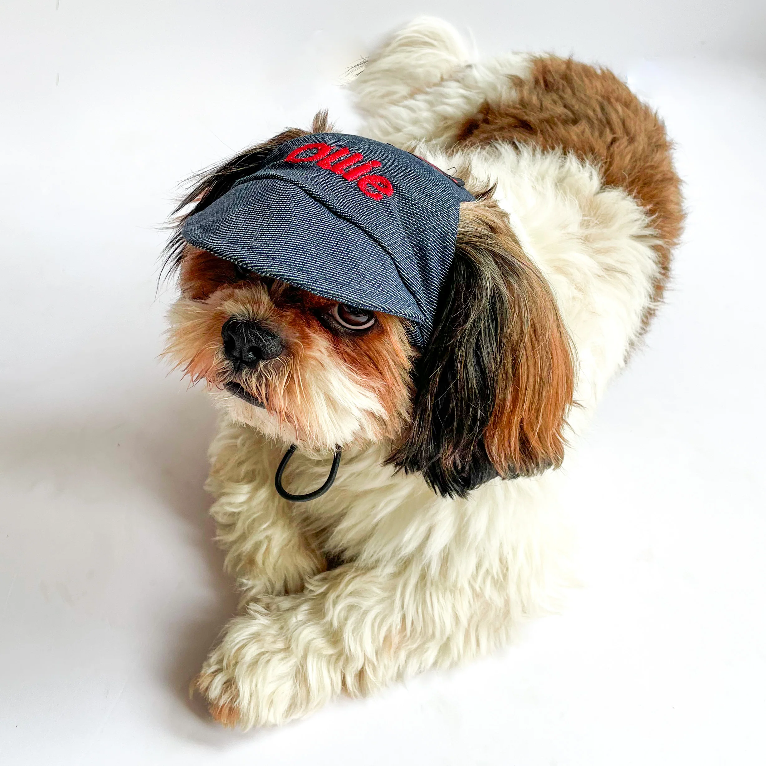 Pawgy Pets Personalised Dog Cap Denim for Dog & Cats - Image 3