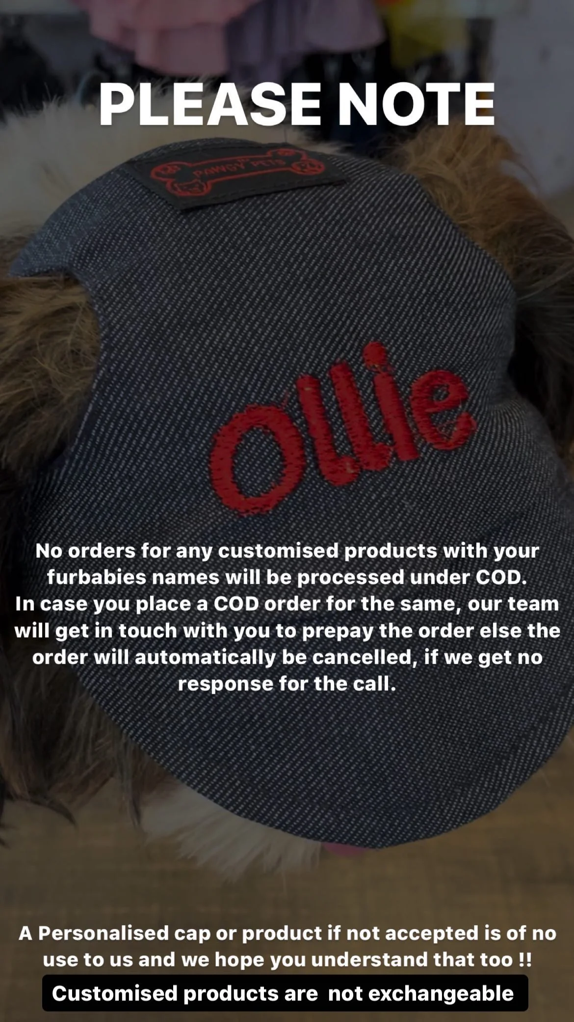 Pawgy Pets Personalised Dog Cap Denim for Dog & Cats - Image 9