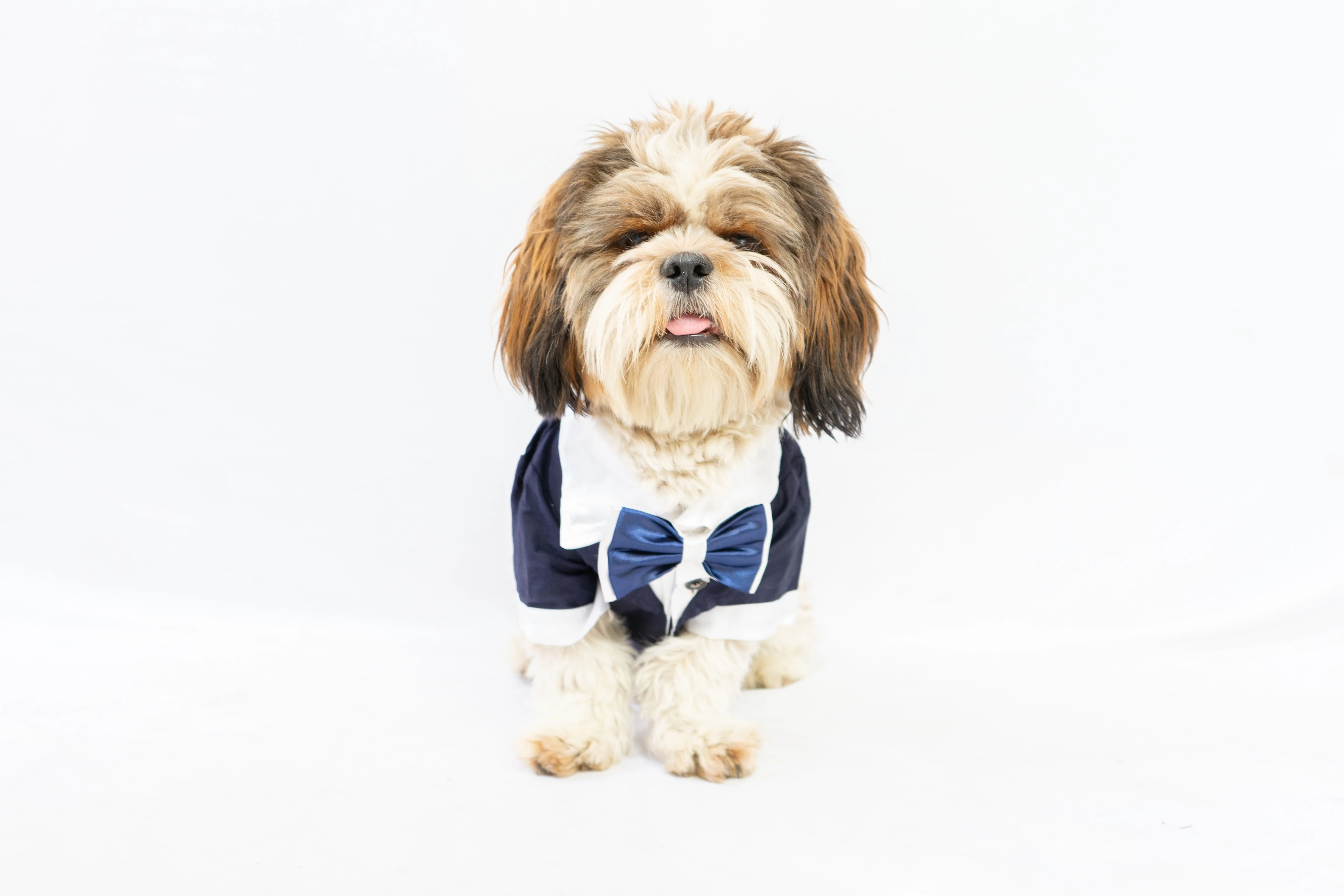 Pawgy Pets Personalised Tuxedo for Dogs & Cats - Image 3