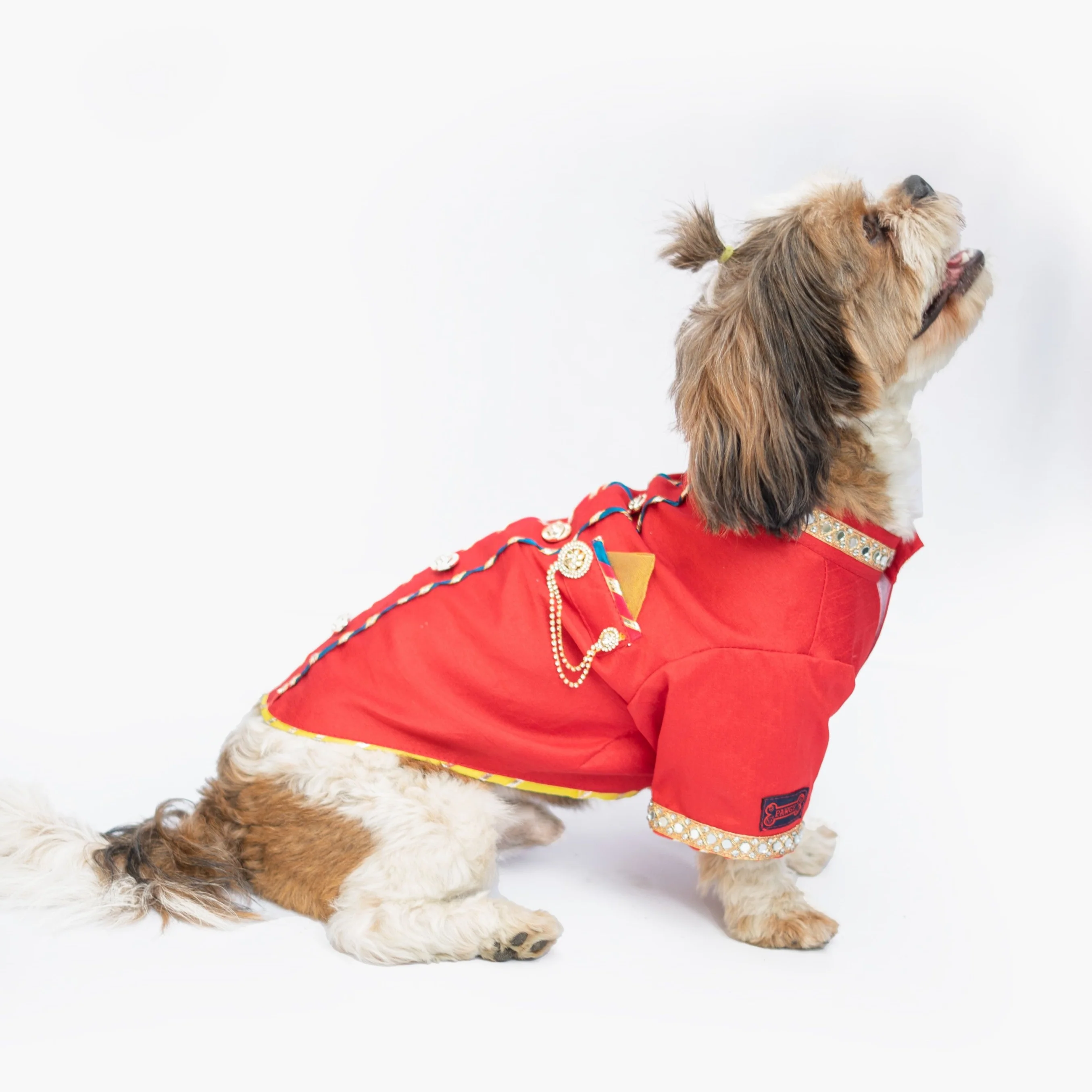 Pawgy Pets Raw Silk Sherwani: Rani for Dogs - Image 10