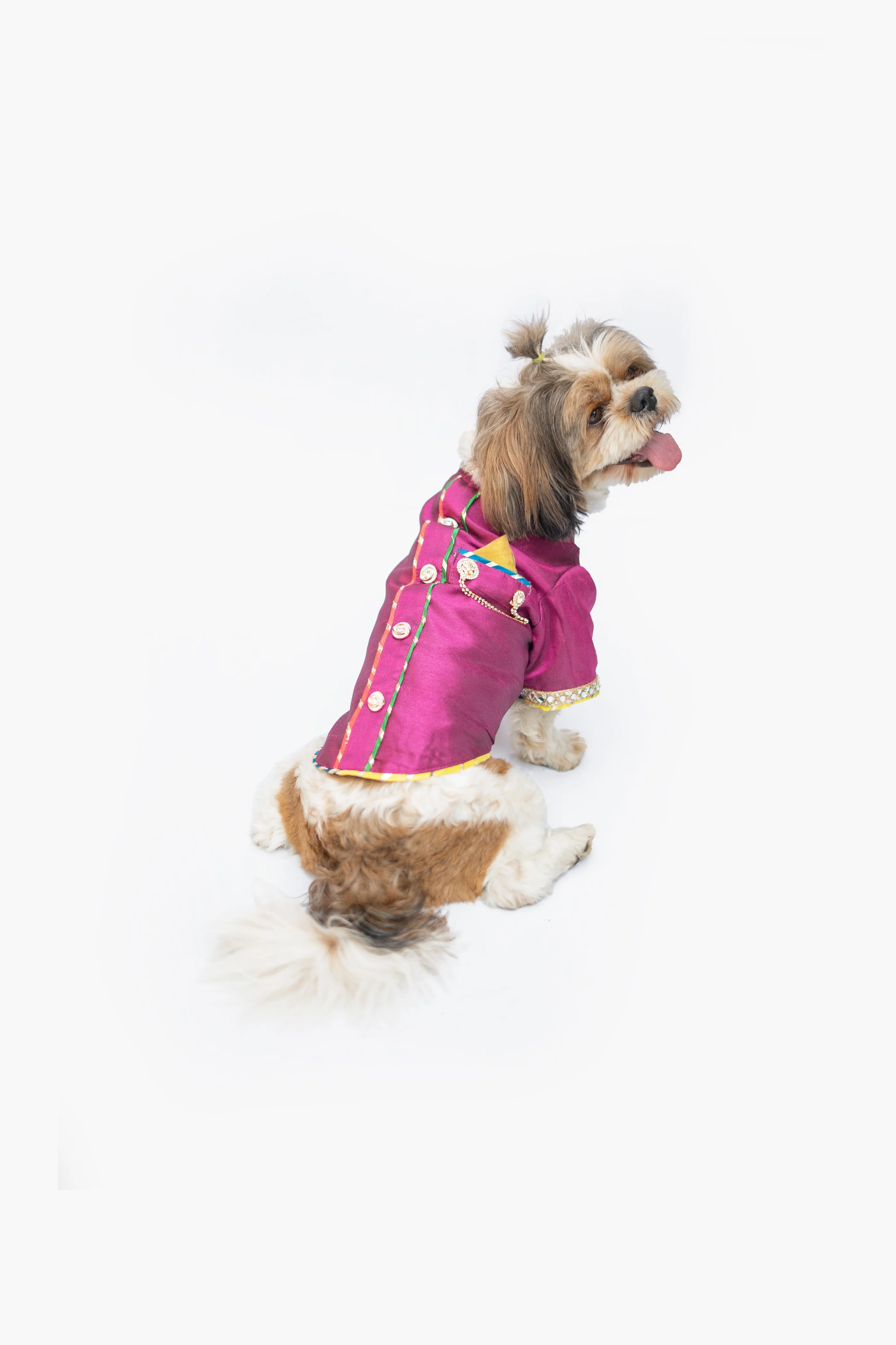 Pawgy Pets Raw Silk Sherwani: Rani for Dogs - Image 4