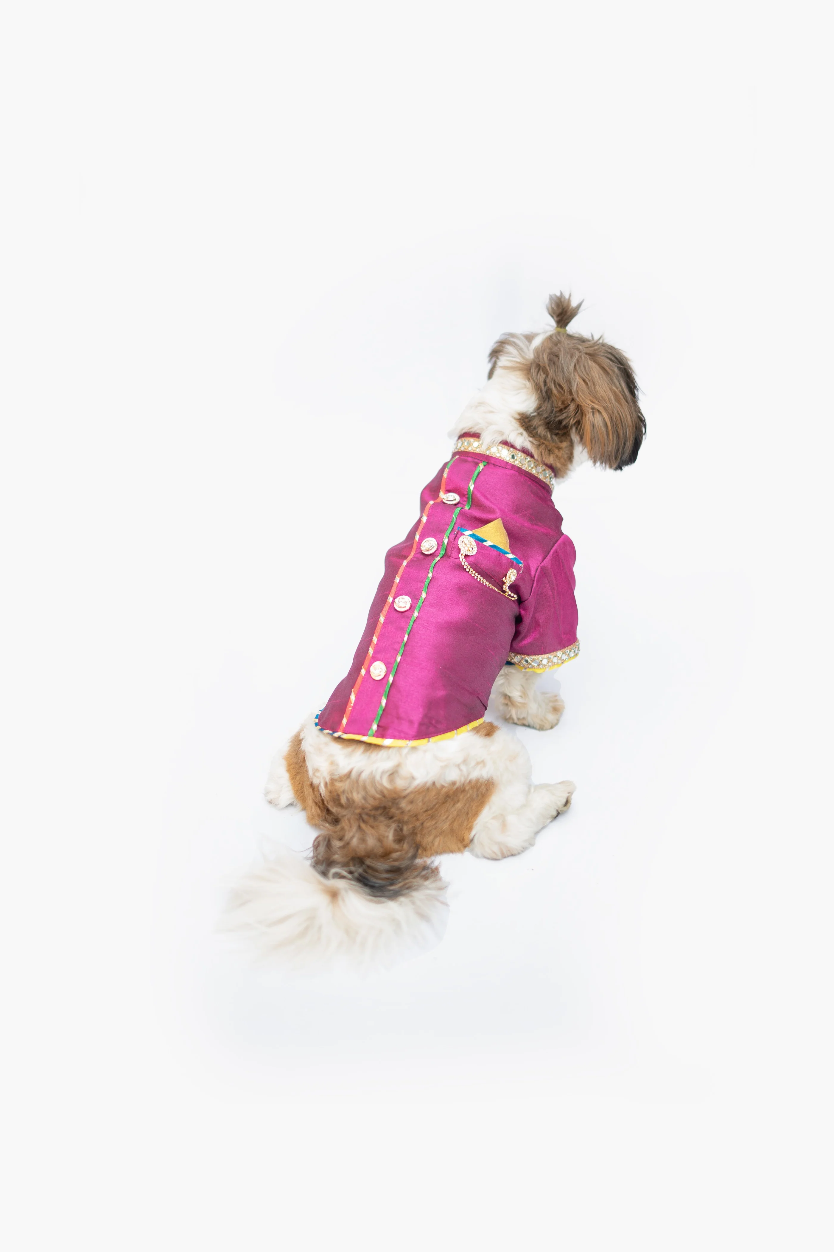 Pawgy Pets Raw Silk Sherwani: Rani for Dogs - Image 5