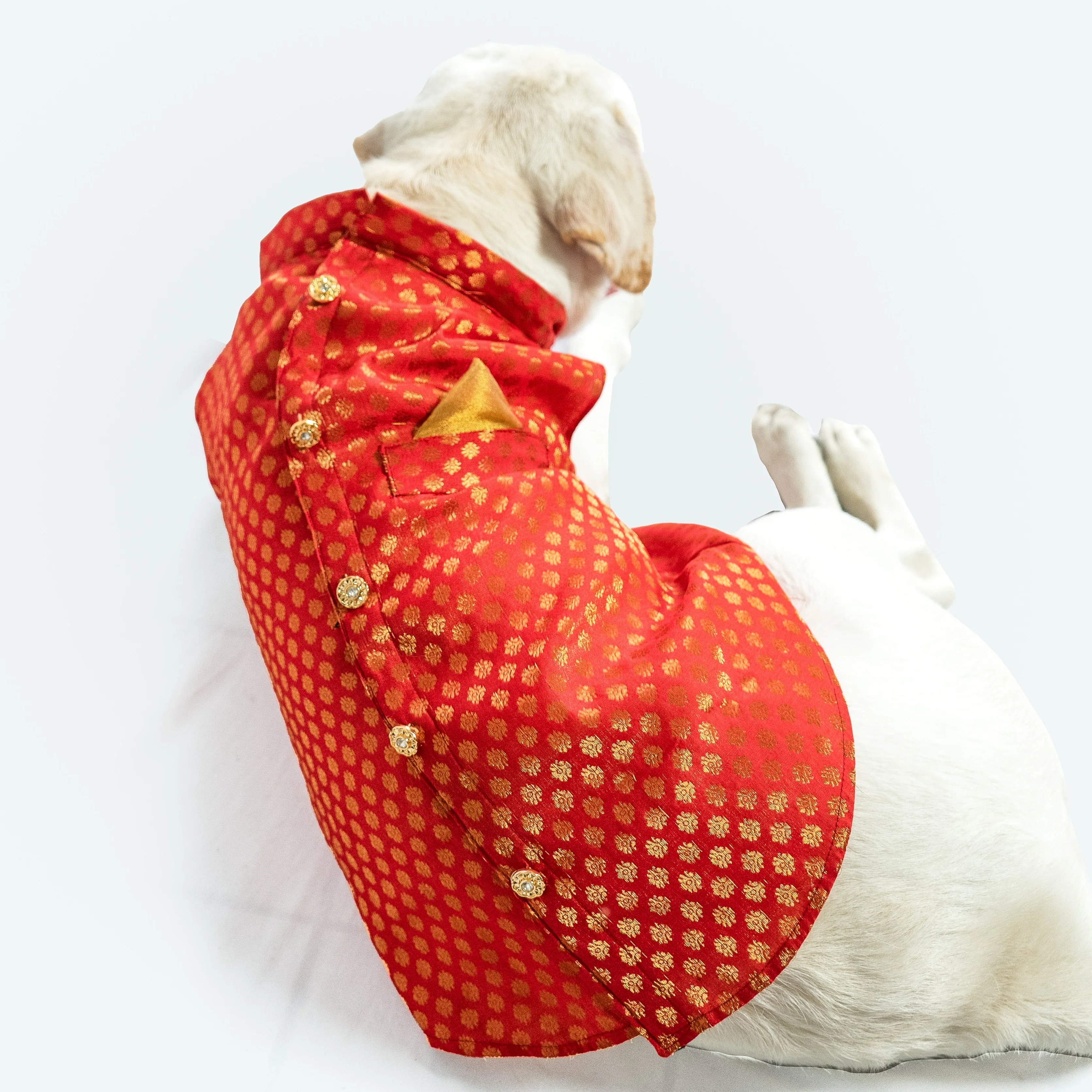 Pawgy Pets Sherwani Red for Dogs - Image 4