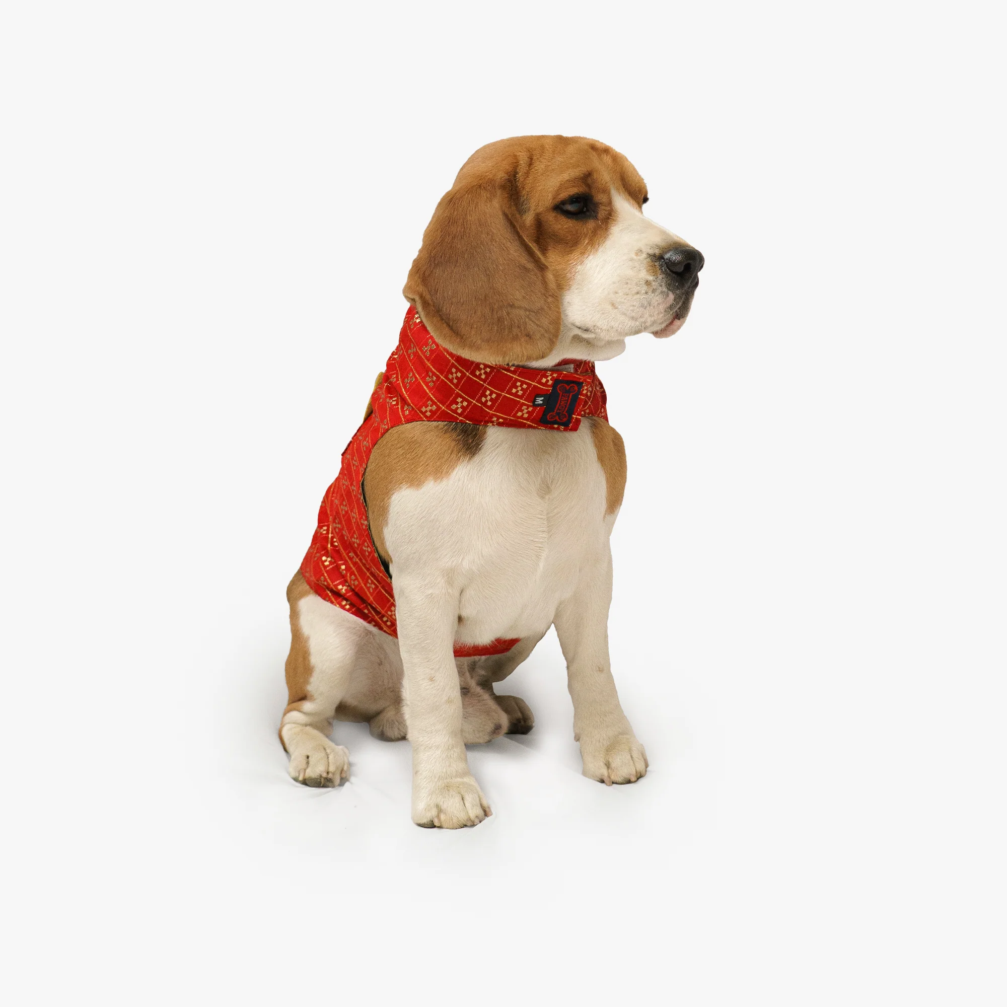 Pawgy Pets Strapy Sherwani Red for Dogs - Image 4