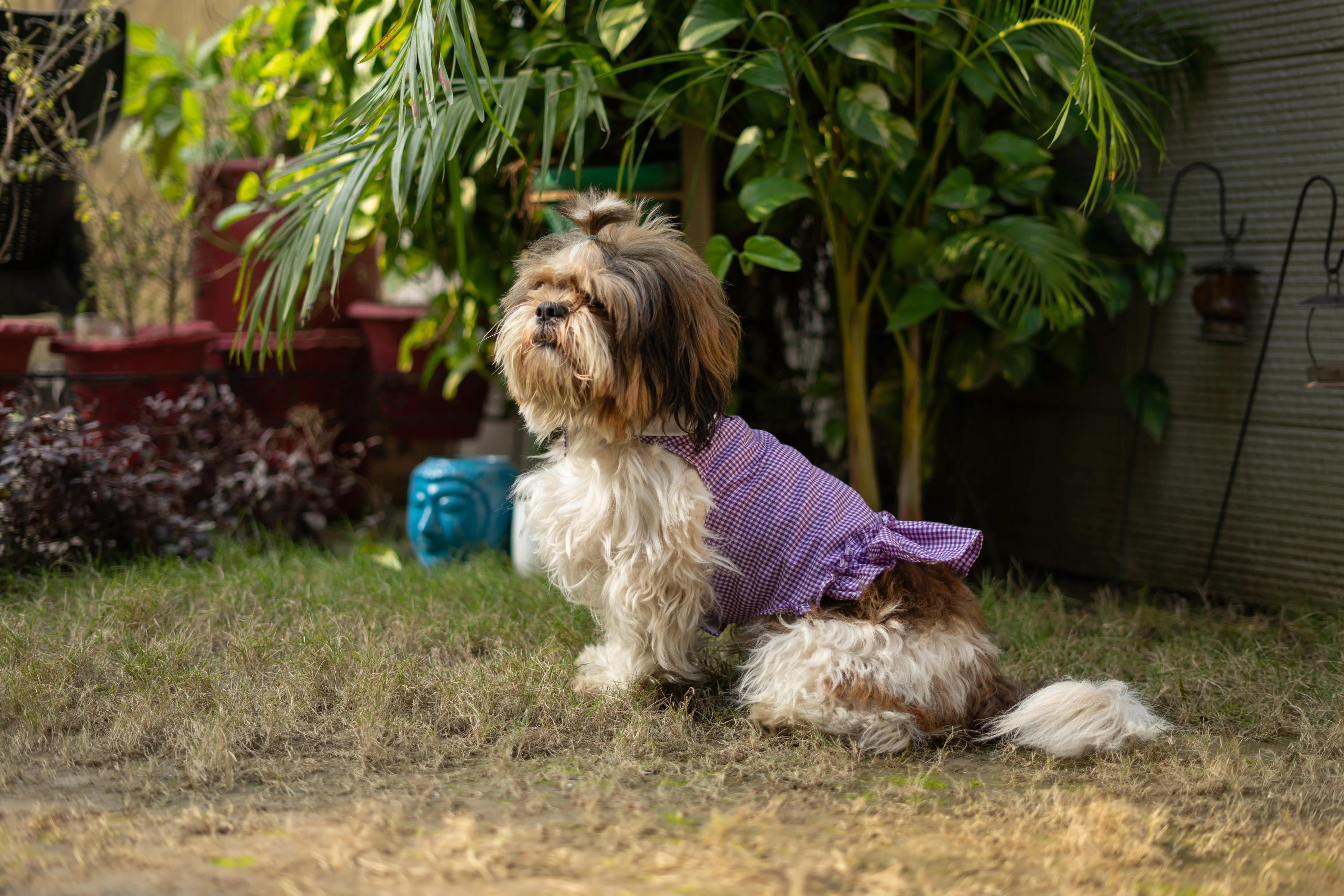 Strapy Summer dress: Purple - Image 3