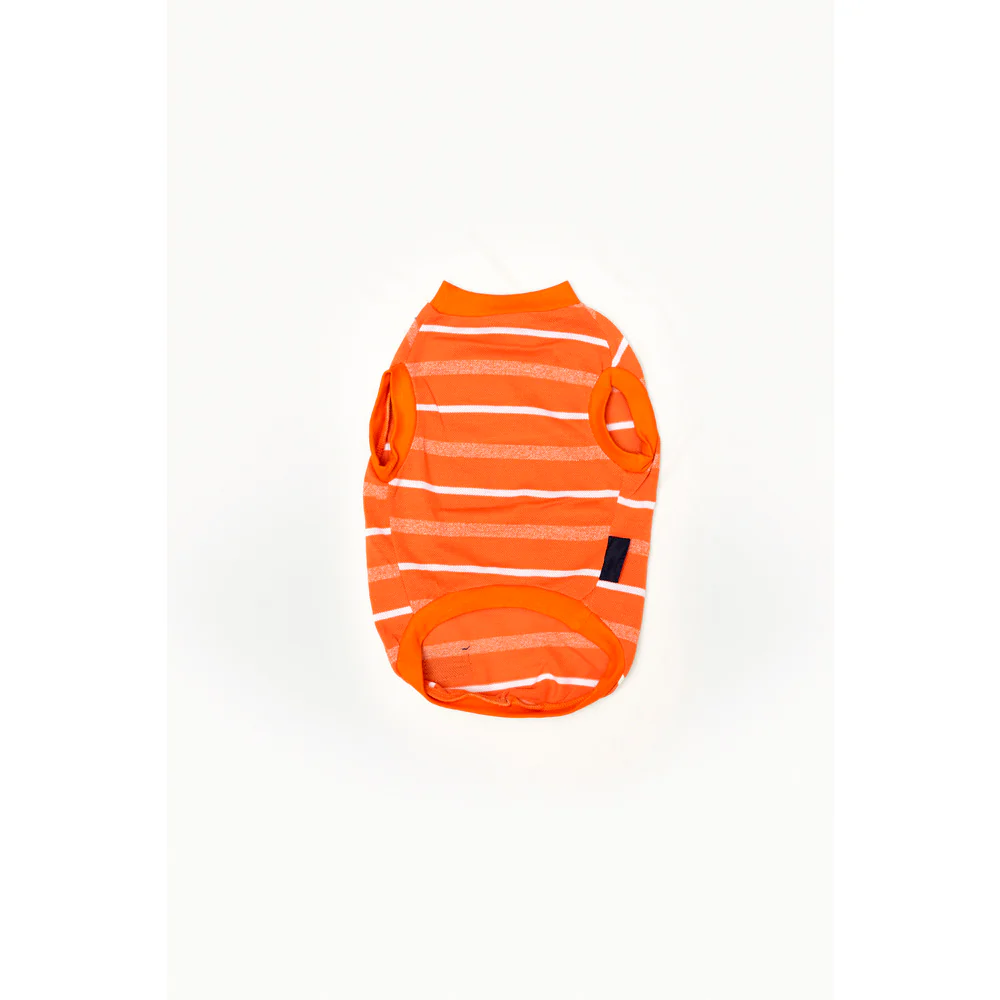 Summer Tshirt: Orange - Image 3